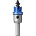 BOSCH Děrovka s adaptérem EXPERT Sheet Metal 18 × 5 mm 2608901974