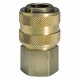 Einhell Rychlospojka R1/4 vnitřní závit 4139206