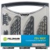 FIELDMANN FDV 9007 Sada vrtáků s bity 23ks 50001377