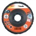EINHELL KWB kotouč čisticí polykarbidový 115 x 22 mm 479211