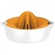 FISKARS Functional Form Lis na citrusy 1016125