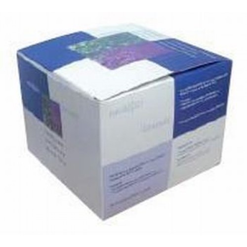 GBG aromaterapie