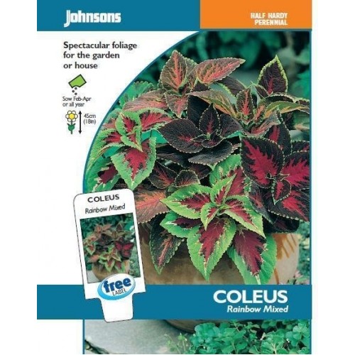JOHNSONS Africká kopřiva „Rainbow mixed“ 10536 JOHNSONS Africká kopřiva „Rainbow mixed“ 10536