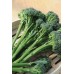 JOHNSONS Brokolice (TENDERSTEM) INSPIRATION F1 22977