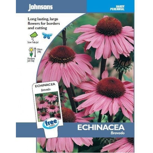JOHNSONS Echinacea „Bravado“ 15958