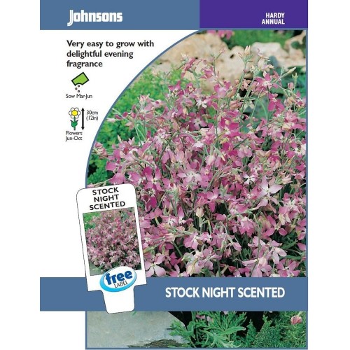 JOHNSONS Fiala „Night scented“ 10739 JOHNSONS Fiala „Night scented“ 10739