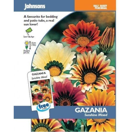 JOHNSONS Gazánie „Sunshine Mixed“ 11620 JOHNSONS Gazánie „Sunshine Mixed“ 11620