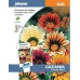 JOHNSONS Gazánie „Sunshine Mixed“ 11620