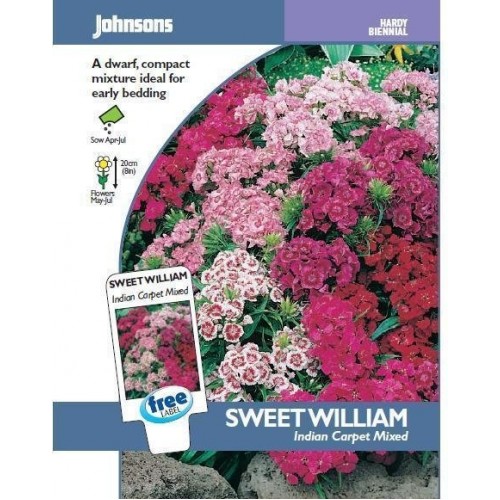 JOHNSONS Hvozdík „Indian Carpet Mixed“ 12403