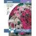 JOHNSONS Hvozdík „Indian Carpet Mixed“ 12403