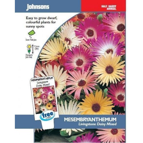 JOHNSONS Kosmatec „Livingstone Daisy Mixed“ 16283