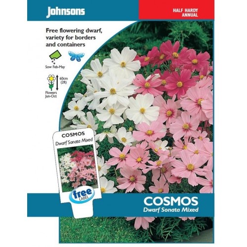 JOHNSONS Krásenka „Dwarf sonata mixed“ 16087 JOHNSONS Krásenka „Dwarf sonata mixed“ 16087
