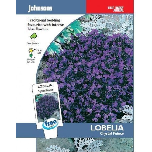 JOHNSONS Lobelka „Crystal Palace“ 13338 JOHNSONS Lobelka „Crystal Palace“ 13338