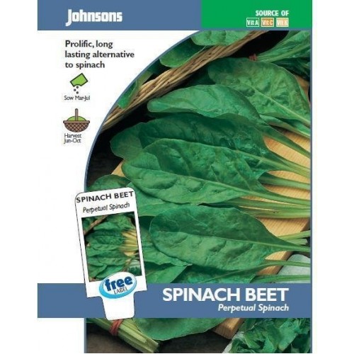 JOHNSONS Mangold „Perpetual spinach“ 10486 JOHNSONS Mangold „Perpetual spinach“ 10486