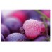 KELA Prostírání PICTURE bobule KL-15035