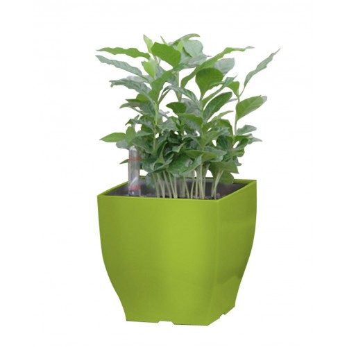 Samozavlažovací květináč G21 Cube mini zelený 13,5cm 6392575 Samozavlažovací květináč G21 Cube mini zelený 13,5cm 6392575
