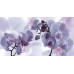 SAPHO DESERT Decor Fiore Lila keramická obkládačka 27x50 DST021
