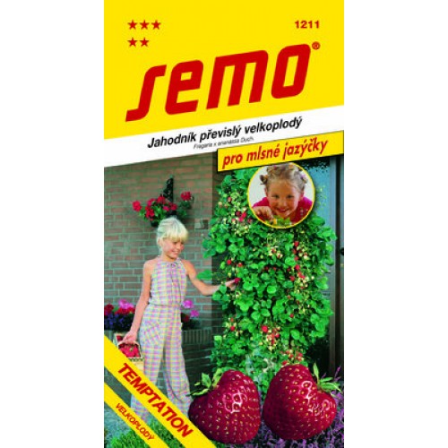 SEMO Jahodník TEMPTATION 1211 PO EXPIRACI!!!! SEMO Jahodník TEMPTATION 1211 PO EXPIRACI!!!!