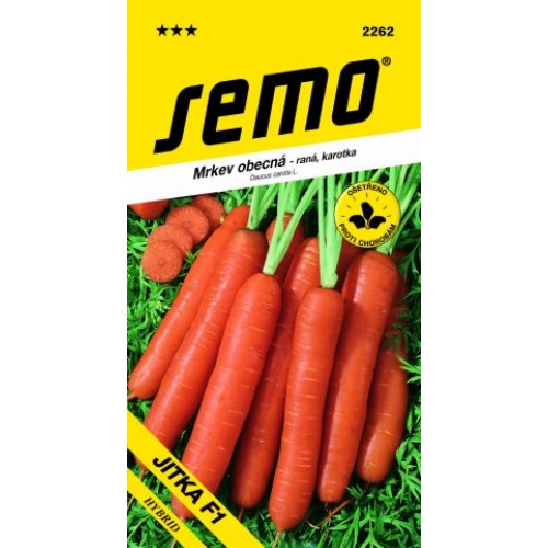 SEMO Mrkev obecná raná JITKA F1 22629