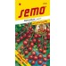 SEMO Rajče tyčkové STRILLO F1 3239