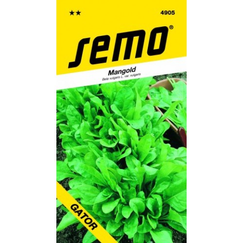 SEMO Mangold PERPETUAL SPINACH (GATOR) 4905 SEMO Mangold PERPETUAL SPINACH (GATOR) 4905