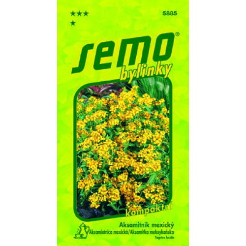 SEMO Aksamitník mexický 5885