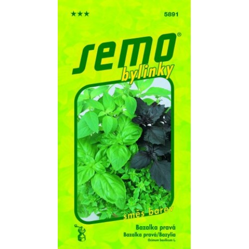 SEMO Bazalka pravá SMĚS BAREV 58919 SEMO Bazalka pravá SMĚS BAREV 58919