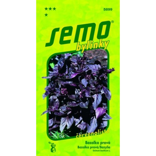 SEMO Bazalka pravá RED RUBIN 5899 SEMO Bazalka pravá RED RUBIN 5899