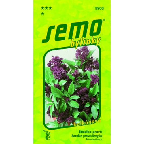 SEMO Bazalka pravá SIAM QUEEN 59039