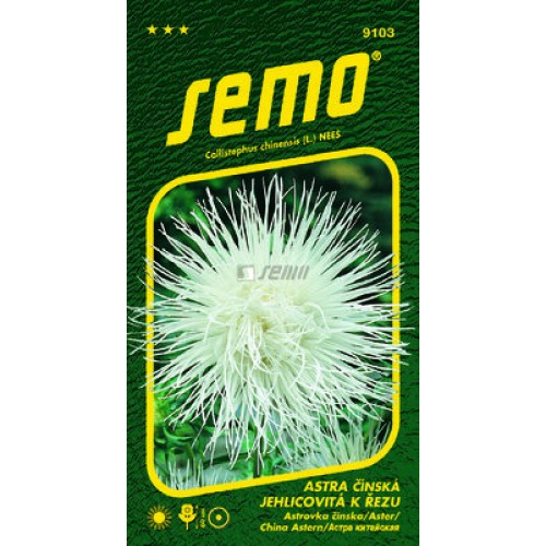 SEMO Astra čínská ELECTRIC BÍLÁ 91039 SEMO Astra čínská ELECTRIC BÍLÁ 91039