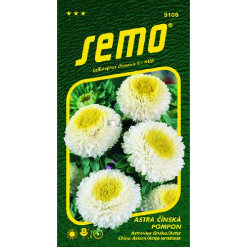 SEMO Astra čínská POMPON WHITE AND YELLOW 91069 SEMO Astra čínská POMPON WHITE AND YELLOW 91069
