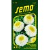 SEMO Astra čínská POMPON WHITE AND YELLOW 91069