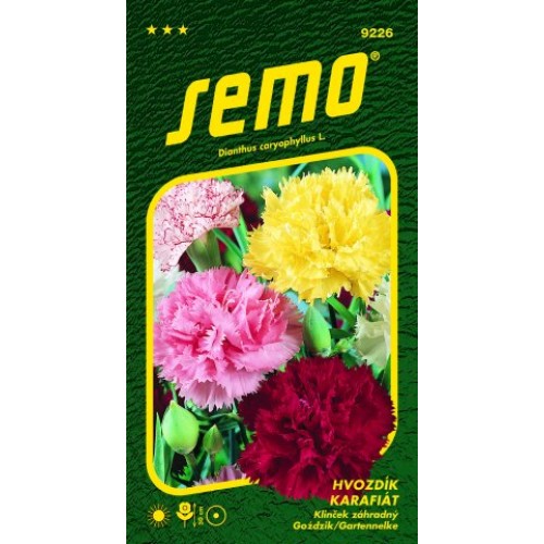 SEMO Hvozdík karafiát SMĚS 92269 SEMO Hvozdík karafiát SMĚS 92269