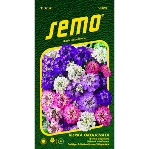 SEMO Iberka okoličnatá FAIRY MIX 9329 SEMO Iberka okoličnatá FAIRY MIX 9329
