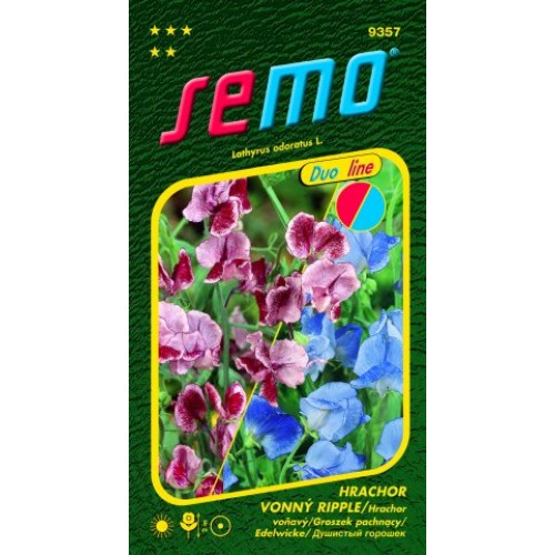 SEMO Hrachor vonný CRIMSON AND BLUE RIPPLE 93579 SEMO Hrachor vonný CRIMSON AND BLUE RIPPLE 93579