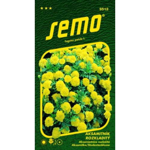 SEMO Aksamitník rozkladitý LEMON DROP 9512