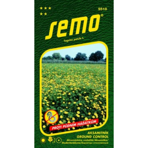 SEMO Aksamitník rozkladitý GROUND CONTROL 9518