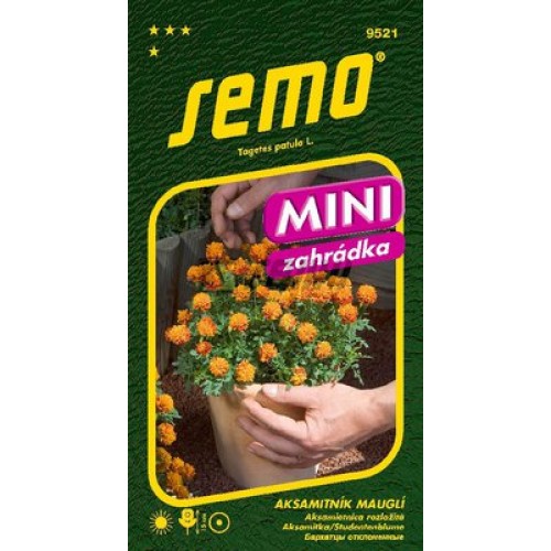 SEMO Aksamitník rozkladitý MAUGLI 9521 SEMO Aksamitník rozkladitý MAUGLI 9521