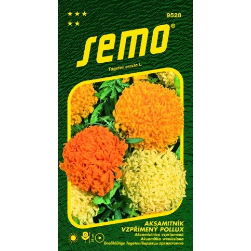 SEMO Aksamitník vzpřímený POLLUX 9528