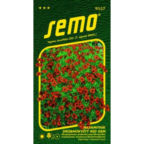 SEMO Aksamitník drobnokvětý červený 95379 SEMO Aksamitník drobnokvětý červený 95379