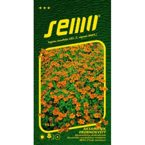 SEMO Aksamitník drobnokvětý oranžový 95359