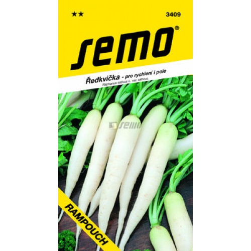 SEMO Ředkvička RAMPOUCH - bílá 3409