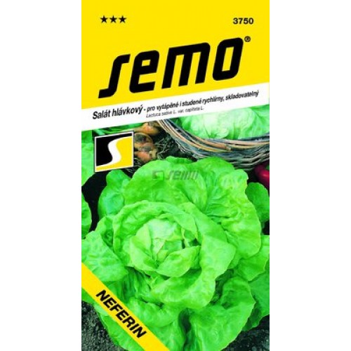 SEMO Salát hlávkový NEFERIN 3750