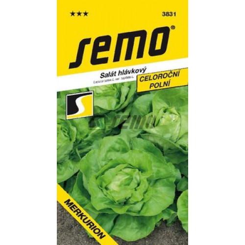 SEMO Salát hlávkový MERKURION 3831 SEMO Salát hlávkový MERKURION 3831