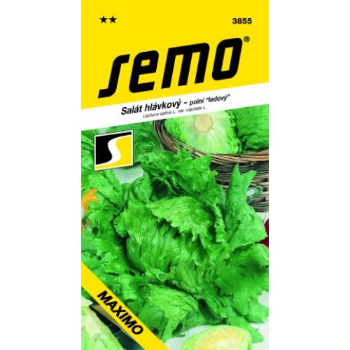 SEMO Salát hlávkový ledový MAXIMO 3855