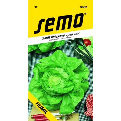 SEMO Salát hlávkový HUMIL 38829 SEMO Salát hlávkový HUMIL 38829