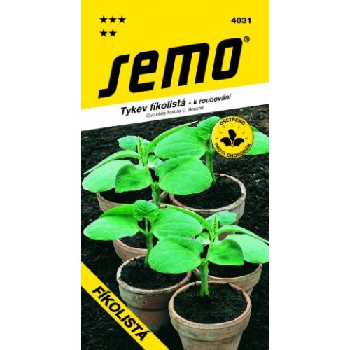 SEMO Tykev FÍKOLISTÁ - podnož 4031 SEMO Tykev FÍKOLISTÁ - podnož 4031