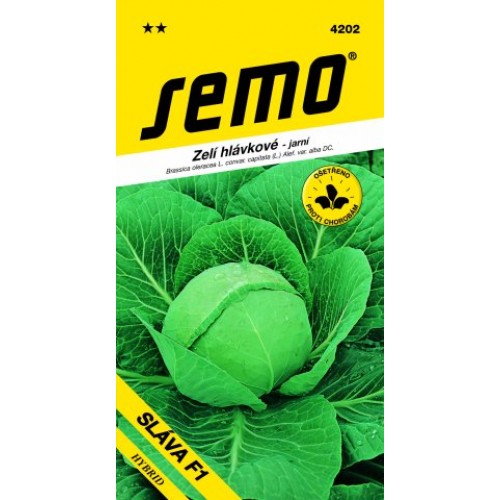 SEMO Zelí hlávkové SLÁVA F1 4202 SEMO Zelí hlávkové SLÁVA F1 4202