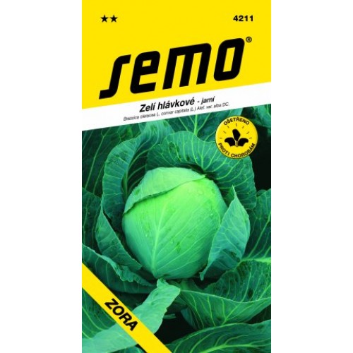 SEMO Zelí hlávkové ZORA 4211 SEMO Zelí hlávkové ZORA 4211