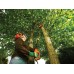 Black & Decker PS7525 Elektrická prořezávací pila na větve (25cm/800W)